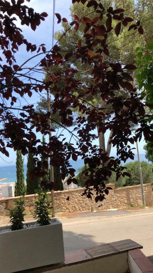 Mediterrania 98 Torroella de Montgrí Exteriér fotografie